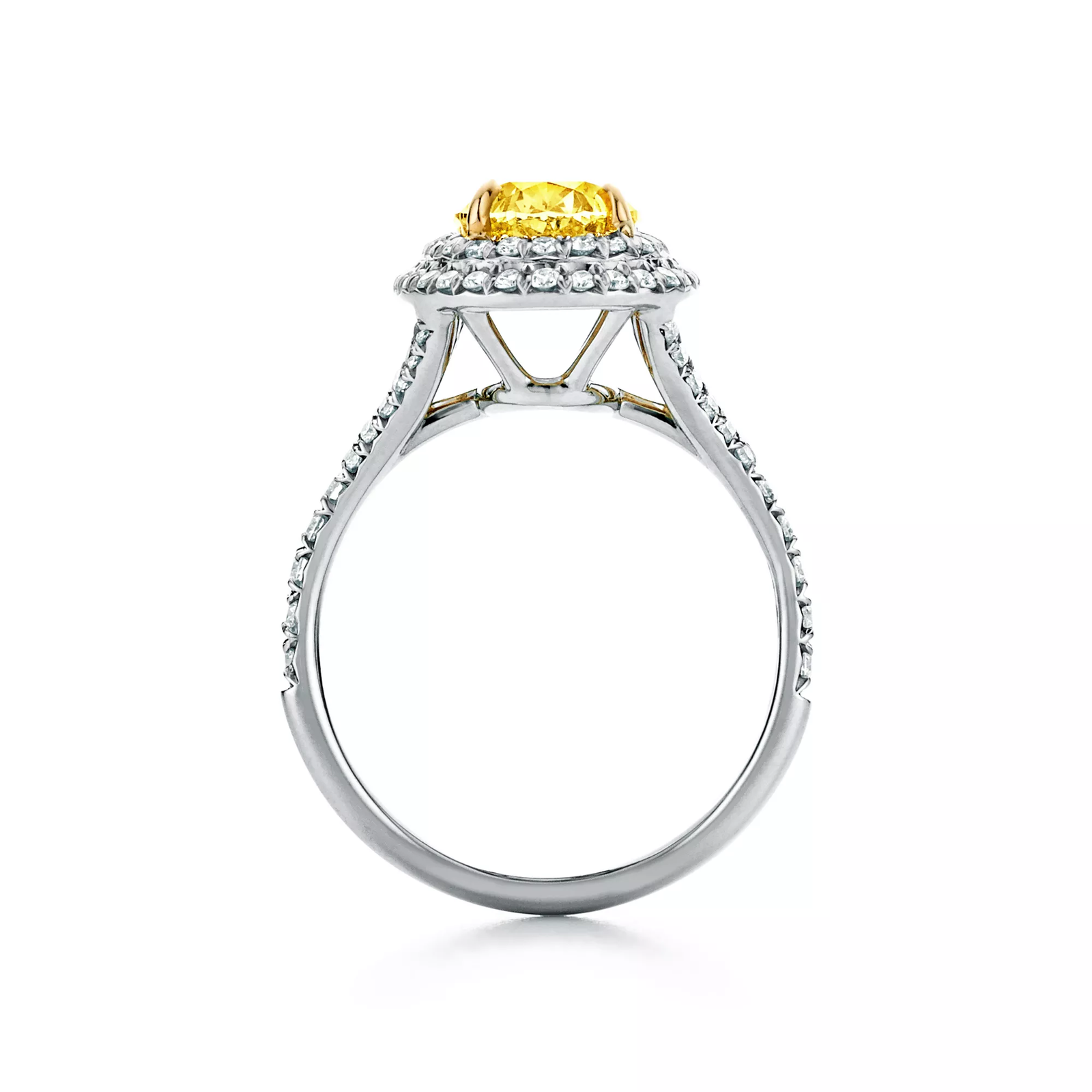 Oval Yellow Diamond Double Halo Engagement Ring in Platinum
