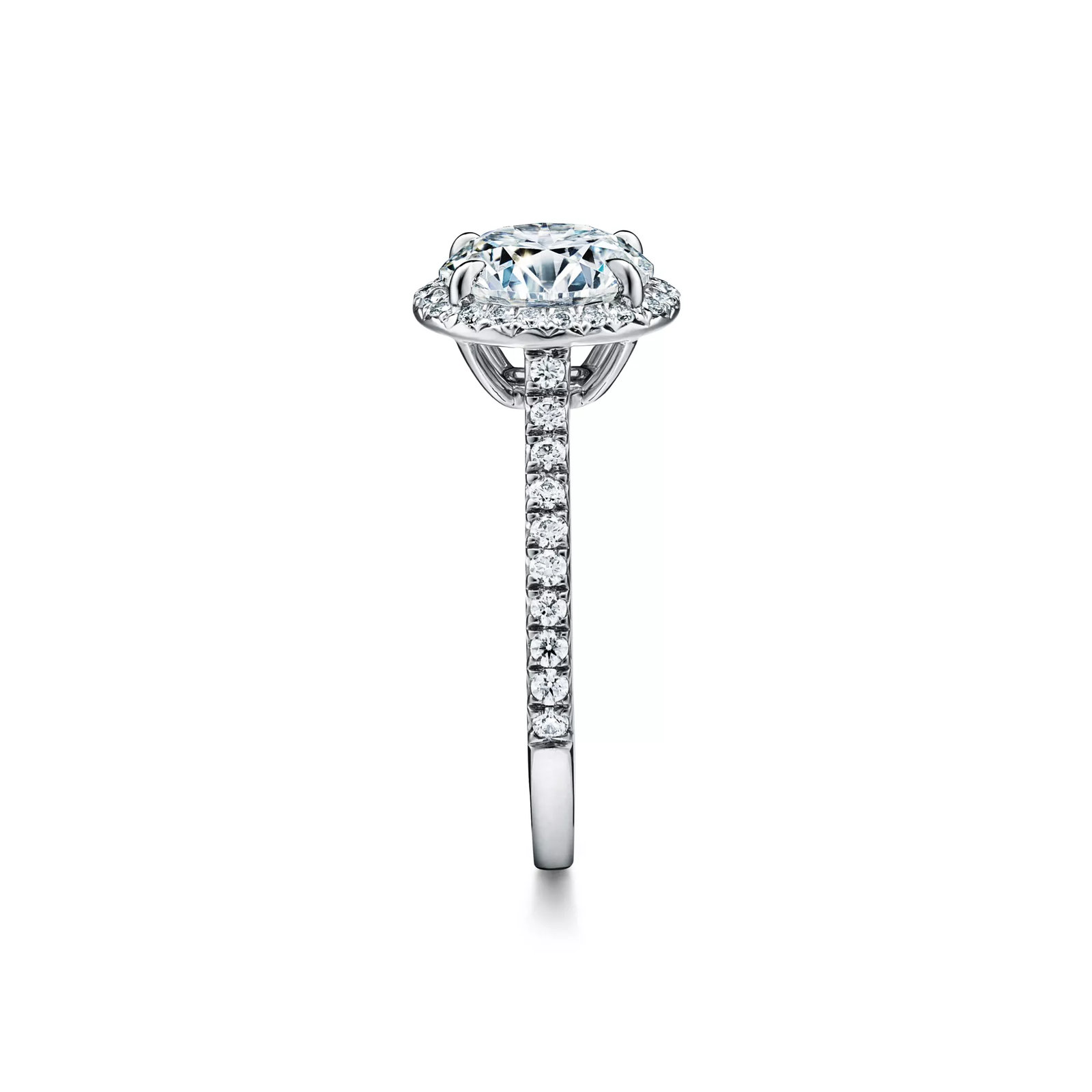 Round Brilliant Engagement Ring in Platinum