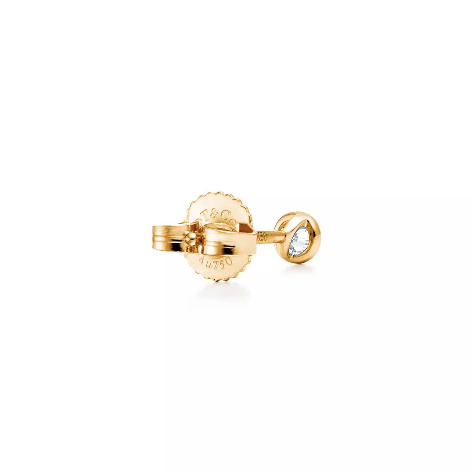 Diamonds by the Yard Earrings