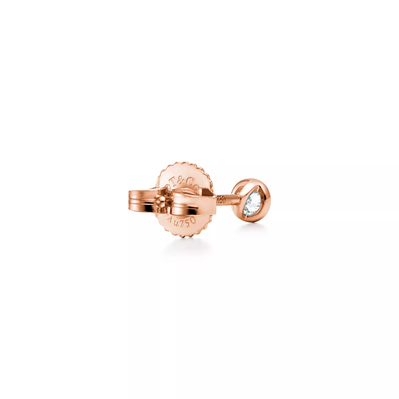 Diamonds by the Yard Earrings