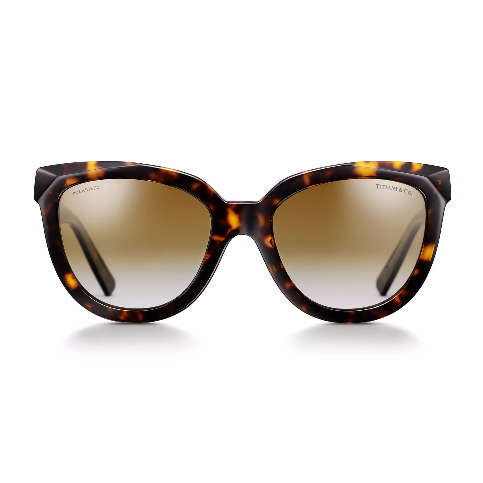 True Sunglasses in Tortoise Acetate with Brown Gradient Lenses