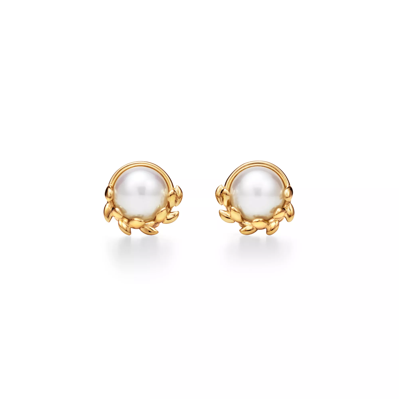 Olive Leaf Stud Earrings in Yellow Gold with Pearls