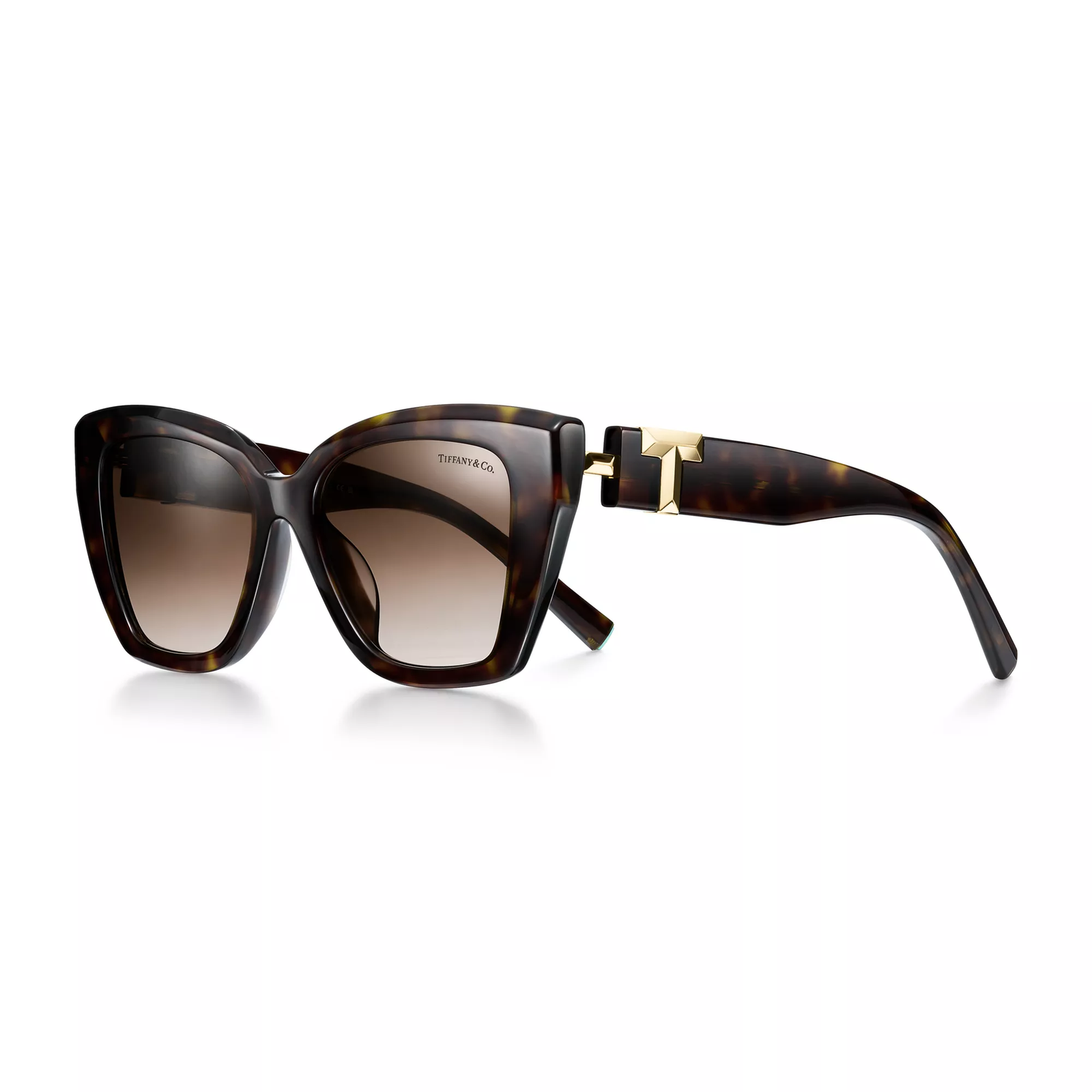 Sunglasses in Tortoise Acetate with Brown Gradient Lenses