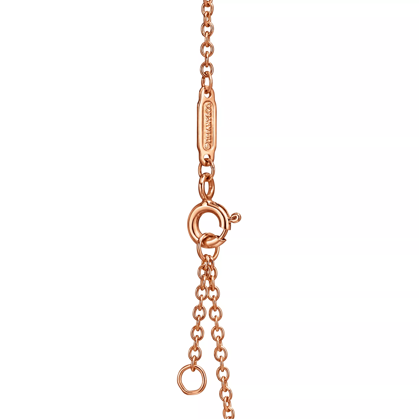 Chain Bracelet in Rose Gold