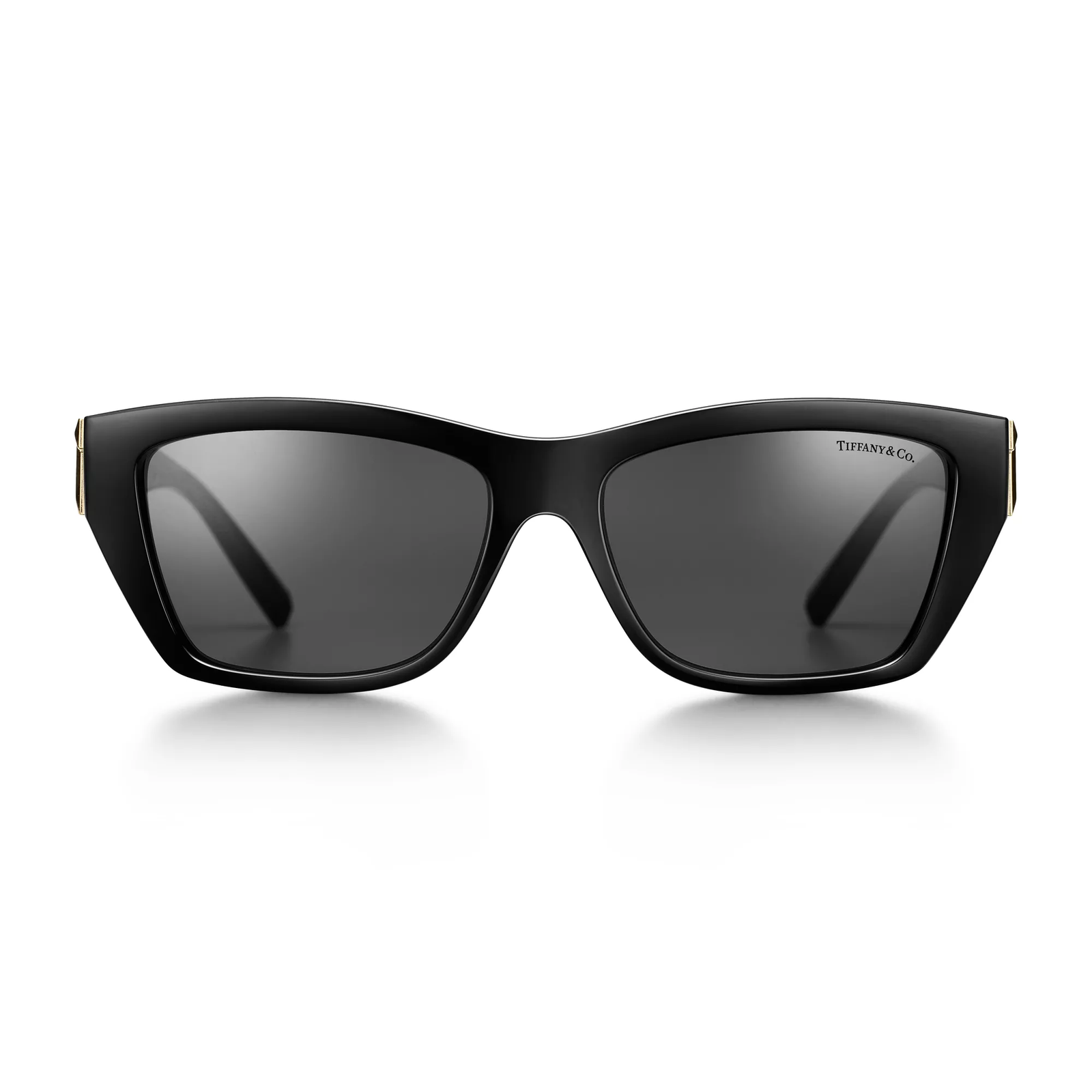 Sunglasses in Black Acetate with Dark Gray Lenses